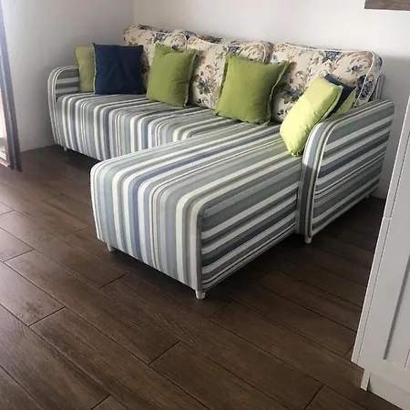 Nadejda * بوموري